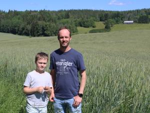 Viljelijä Thomas Björklöf: KWS Tayolla korkeisiin ja laadukkaisiin satoihin
