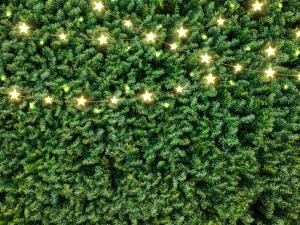 Joulutervehdys Tilasiemeneltä