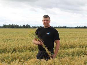Leevi Hannuja ja BOR Reino monitahoinen ohra