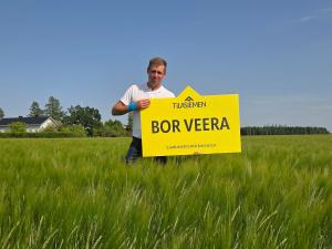 Matti Piha, Maatalousyhtymä Piha ja BOR Veera