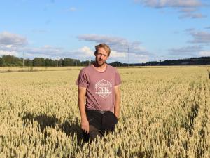 Roni Pämppi ja Tilasiemenen kevätvehnä Linnea