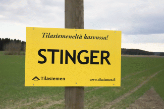 Stinger syysvehna Tilasiemen