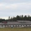 Ollilan tila, Tilasiemen